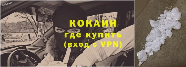 сатива Новокубанск
