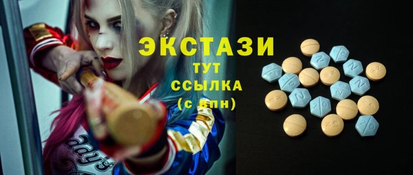 хмурый Новозыбков