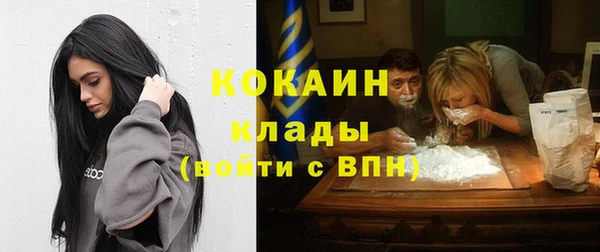индика Нефтегорск
