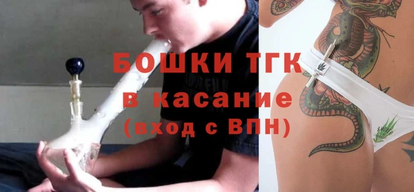 сатива Новокубанск