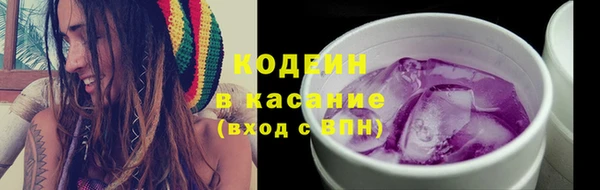 хмурый Новозыбков