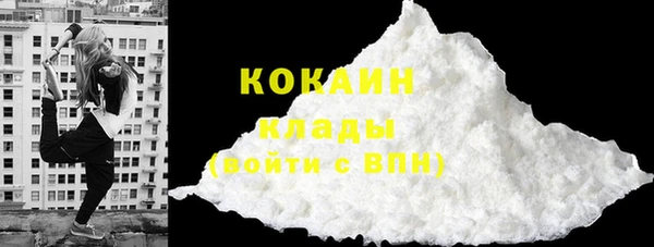 хмурый Новозыбков