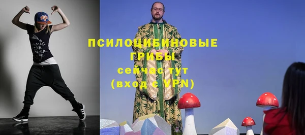 хмурый Новозыбков
