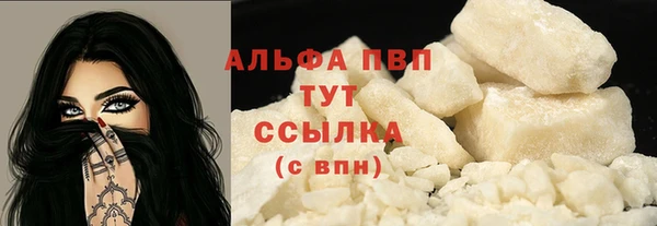 сатива Новокубанск