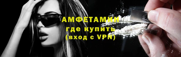 сатива Новокубанск