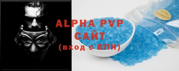 сатива Новокубанск
