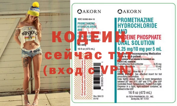 хмурый Новозыбков
