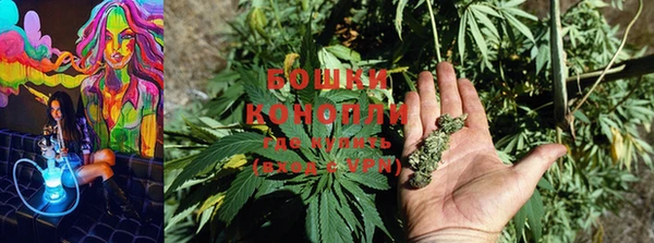 PSILOCYBIN Новодвинск