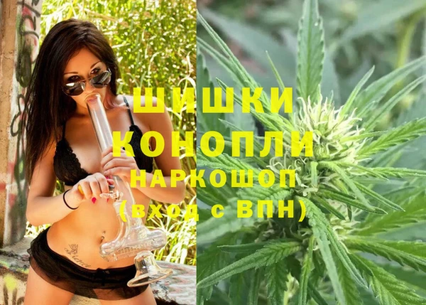 PSILOCYBIN Новодвинск