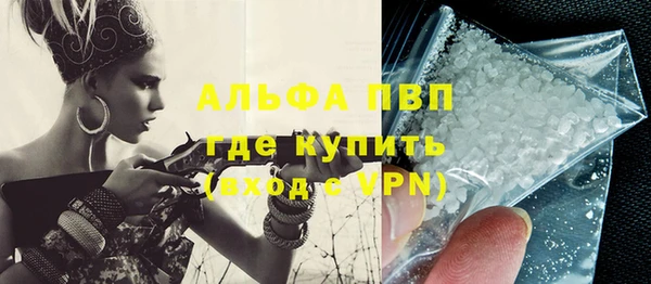 хмурый Новозыбков