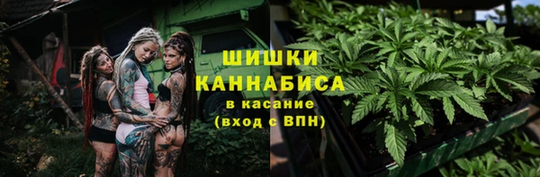 PSILOCYBIN Новодвинск