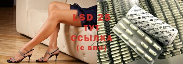 PSILOCYBIN Новодвинск