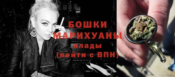 PSILOCYBIN Новодвинск