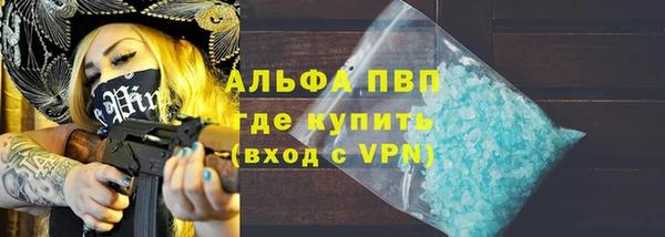 сатива Новокубанск