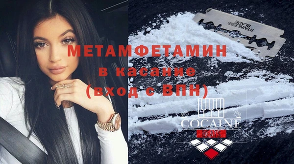 сатива Новокубанск