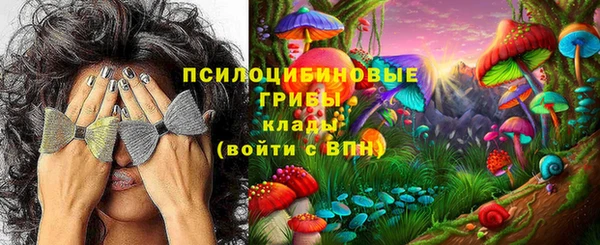PSILOCYBIN Новодвинск