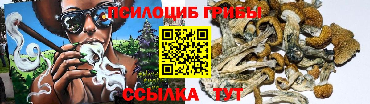 ГАШИШ  Павлово  А ПВП СОЛЬ   Мефедрон   Бошки Шишки  Кодеин  COCAIN  Меф МЯУ МЯУ  