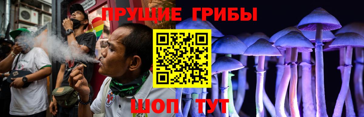 Псилоцибиновые грибы Psilocybe  Павлово  Псилоцибиновые грибы прущие грибы 